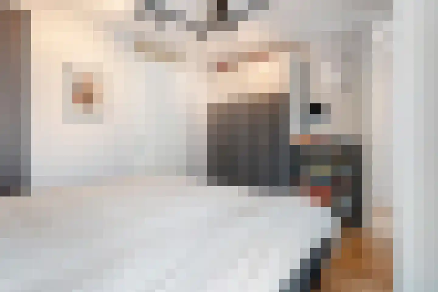 Vijfhagen 24 Breda thumbnail 21