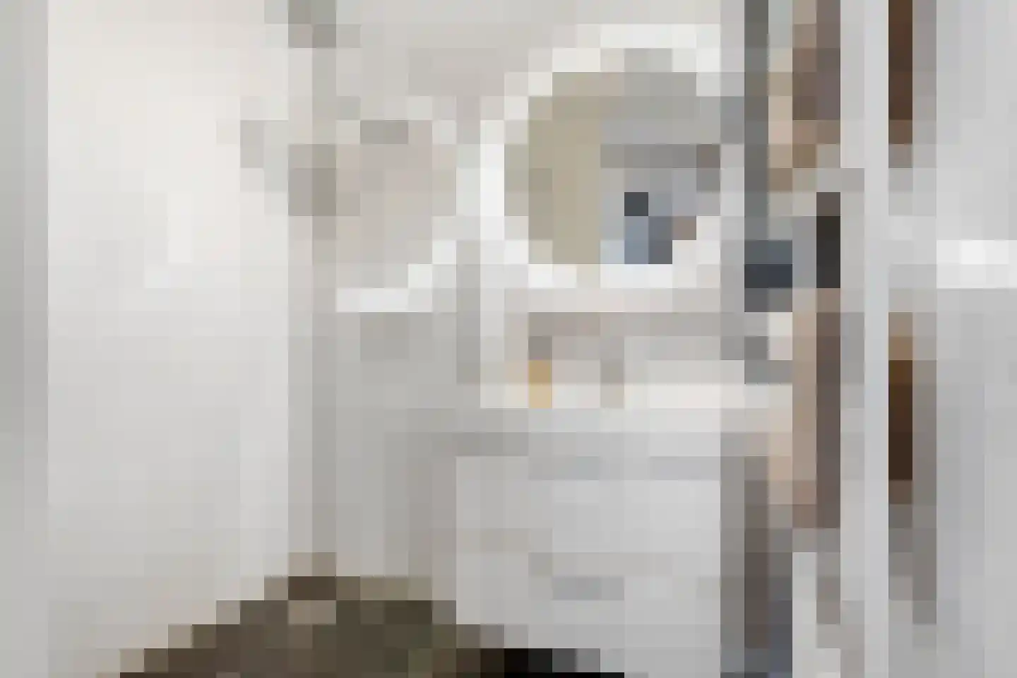 Vijfhagen 24 Breda thumbnail 22
