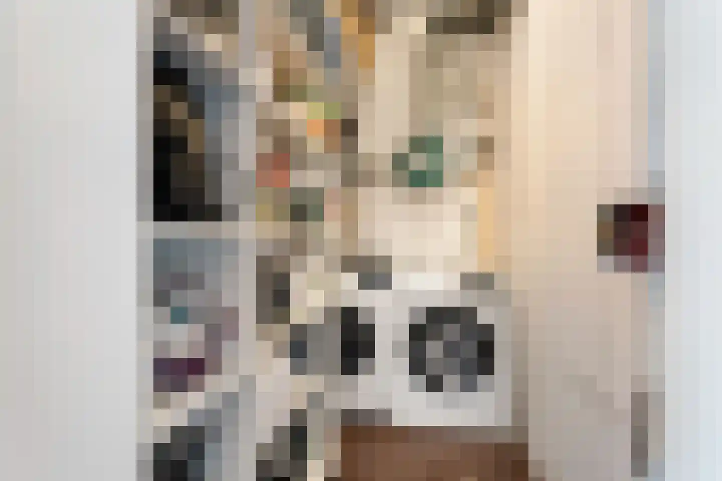 Vijfhagen 24 Breda thumbnail 23