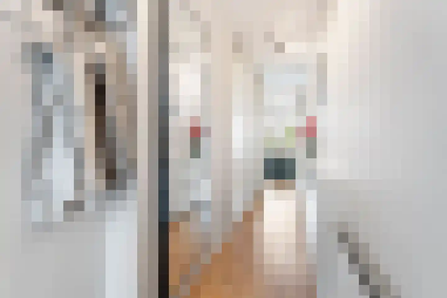Vijfhagen 24 Breda thumbnail 7