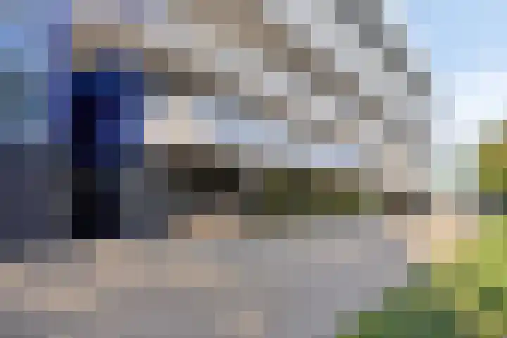 Vijfhagen 341 Breda thumbnail 10