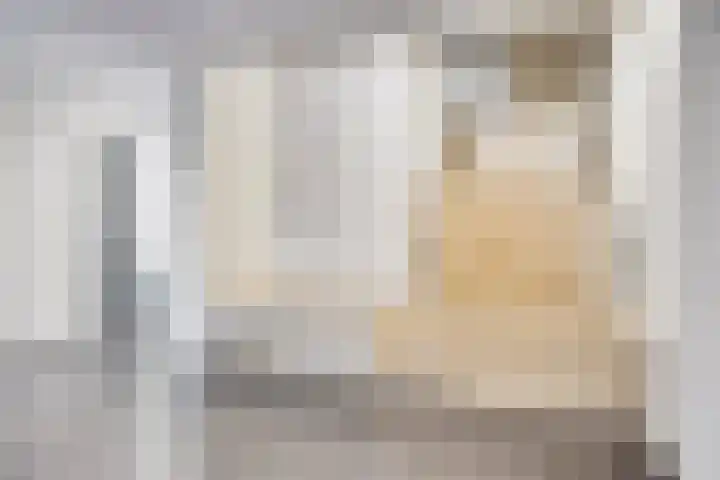 Vijfhagen 341 Breda thumbnail 13