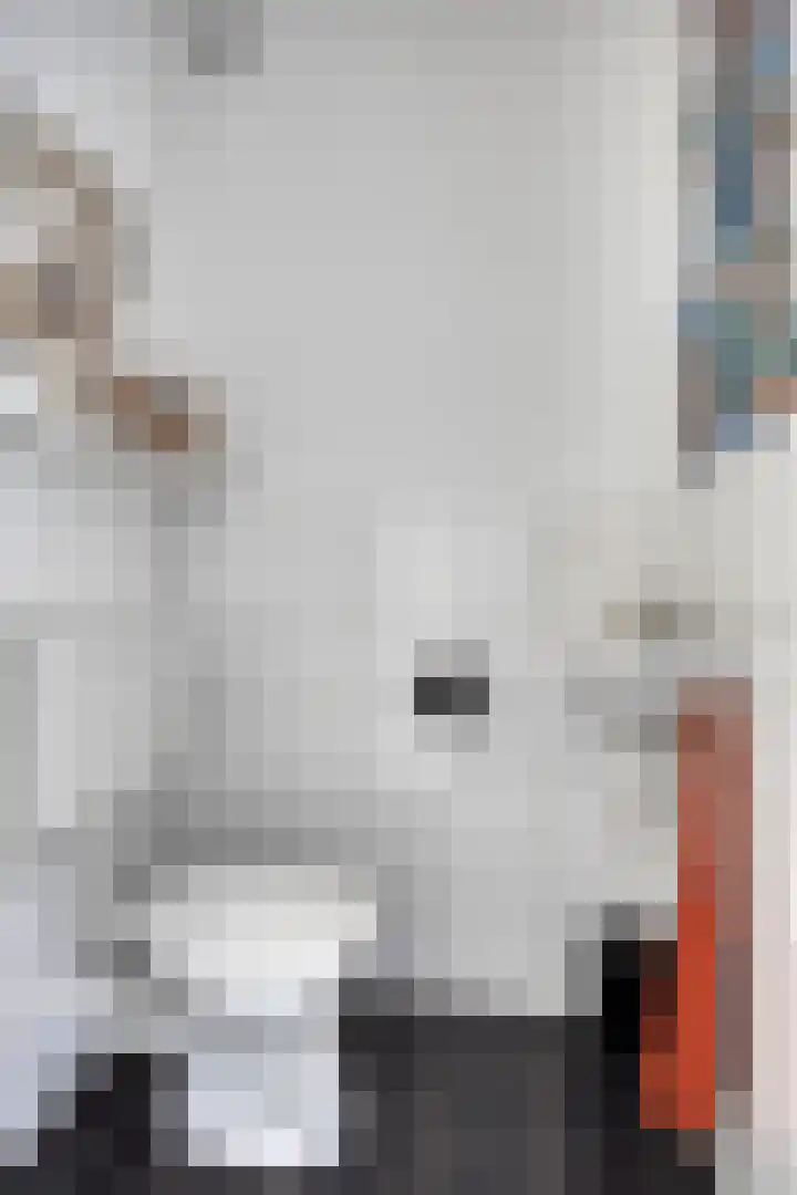 Vijfhagen 341 Breda thumbnail 19