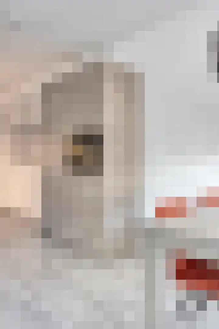 Vijfhagen 341 Breda thumbnail 24