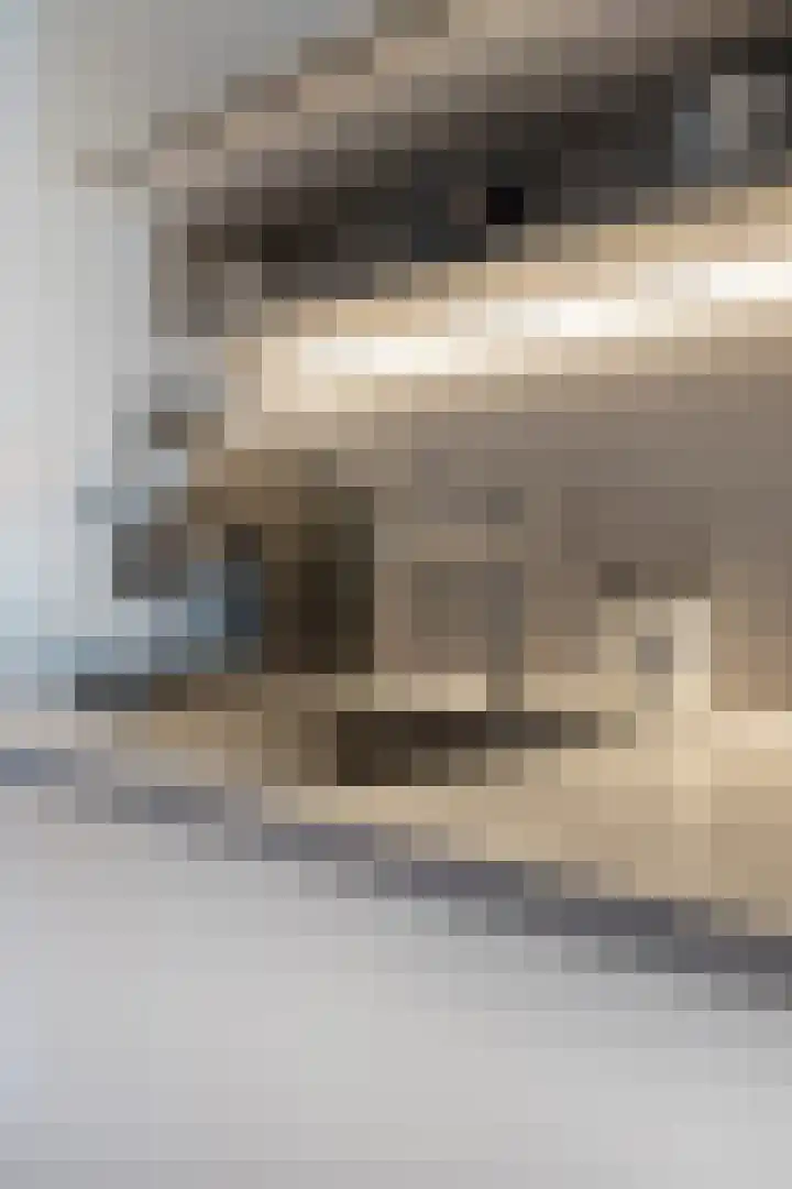 Vijfhagen 341 Breda thumbnail 25