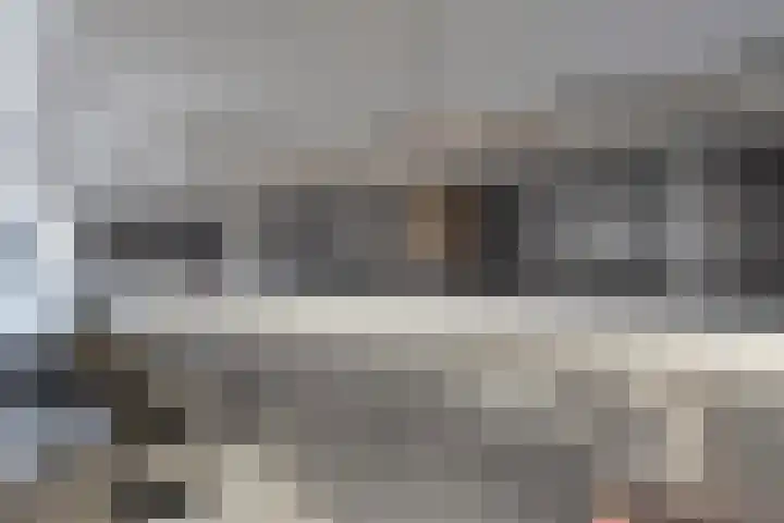 Vijfhagen 341 Breda thumbnail 26