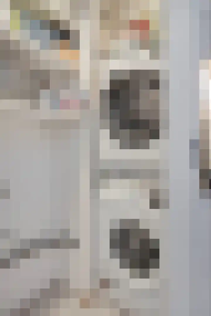 Vijfhagen 341 Breda thumbnail 29