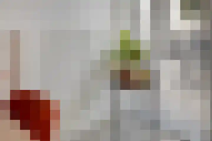 Vijfhagen 341 Breda thumbnail 31