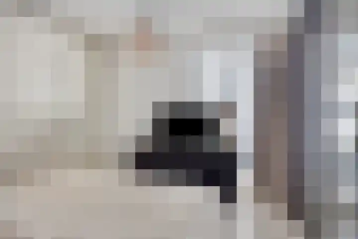 Vijfhagen 341 Breda thumbnail 34