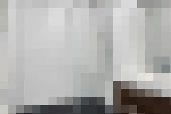 Vijfhagen 341 Breda thumbnail 36