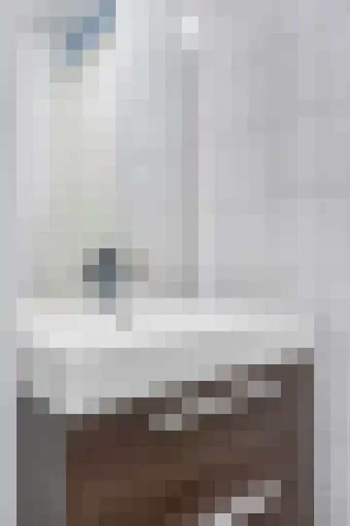 Vijfhagen 341 Breda thumbnail 38