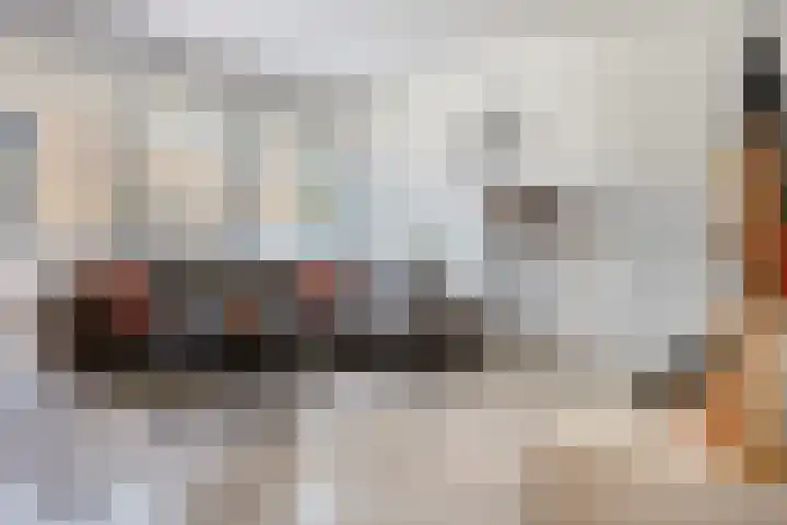 Vijfhagen 341 Breda thumbnail 4