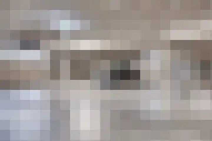 Vijfhagen 341 Breda thumbnail 44