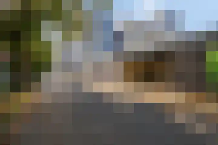 Vijfhagen 341 Breda thumbnail 45