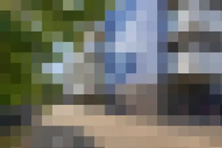 Vijfhagen 341 Breda thumbnail 46