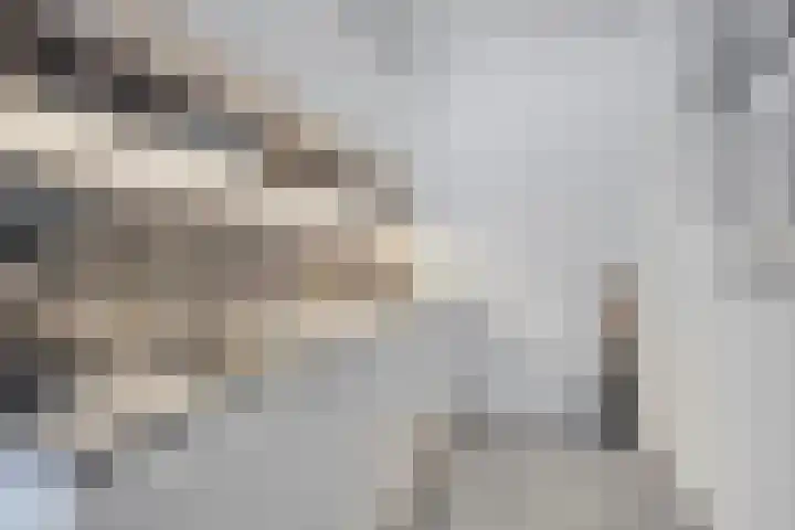Vijfhagen 341 Breda thumbnail 5