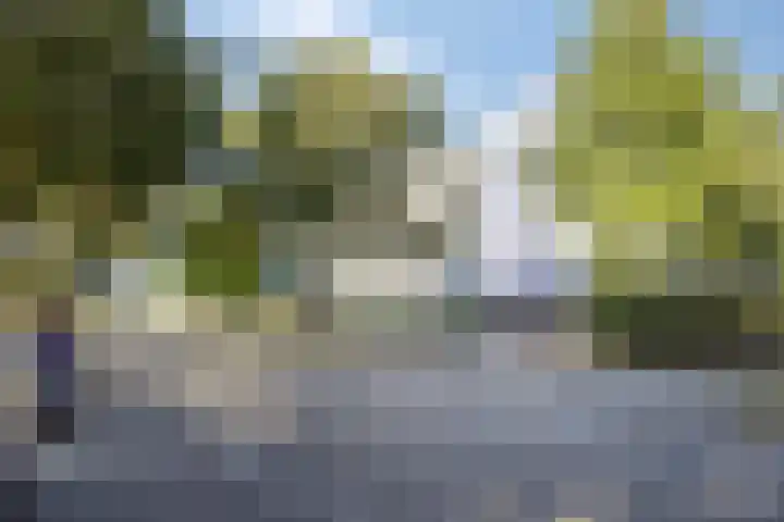 Vijfhagen 341 Breda thumbnail 6