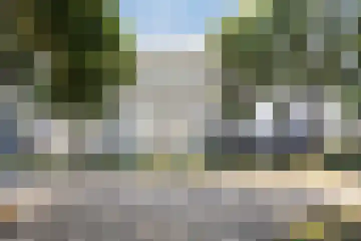 Vijfhagen 341 Breda thumbnail 9