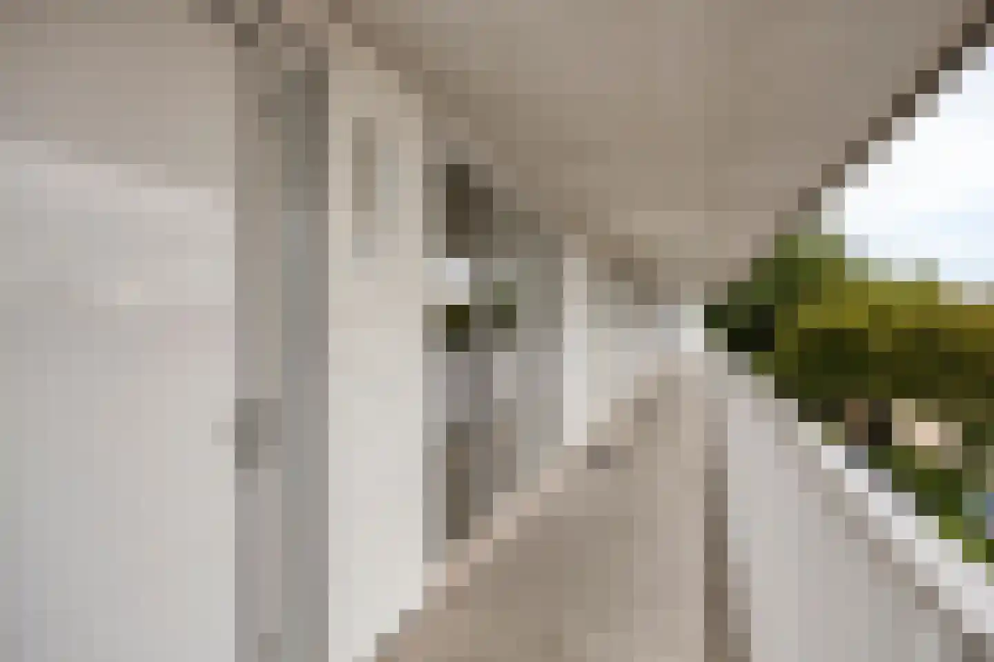 Vijfhagen 347 Breda thumbnail 13
