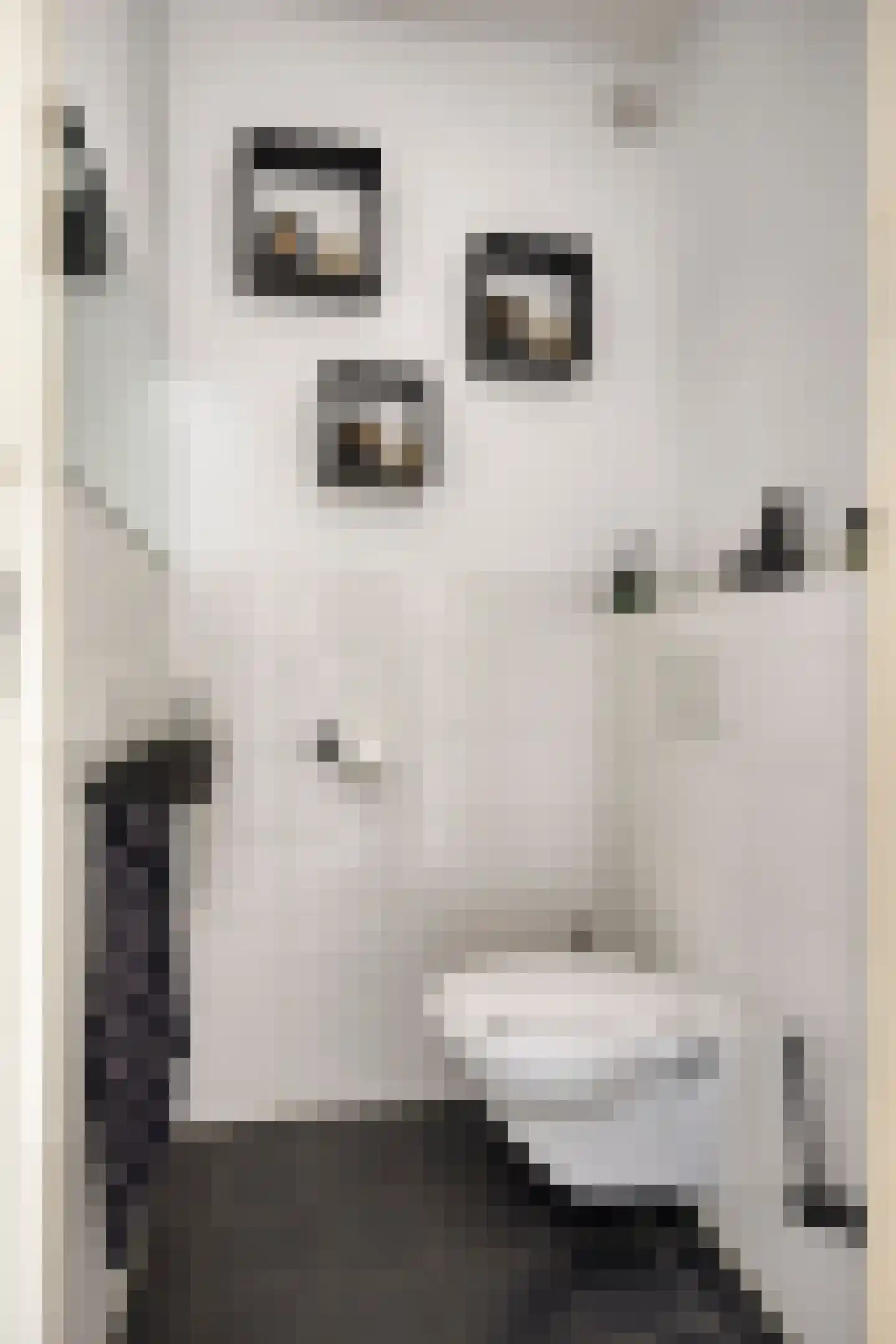 Vijfhagen 347 Breda thumbnail 16
