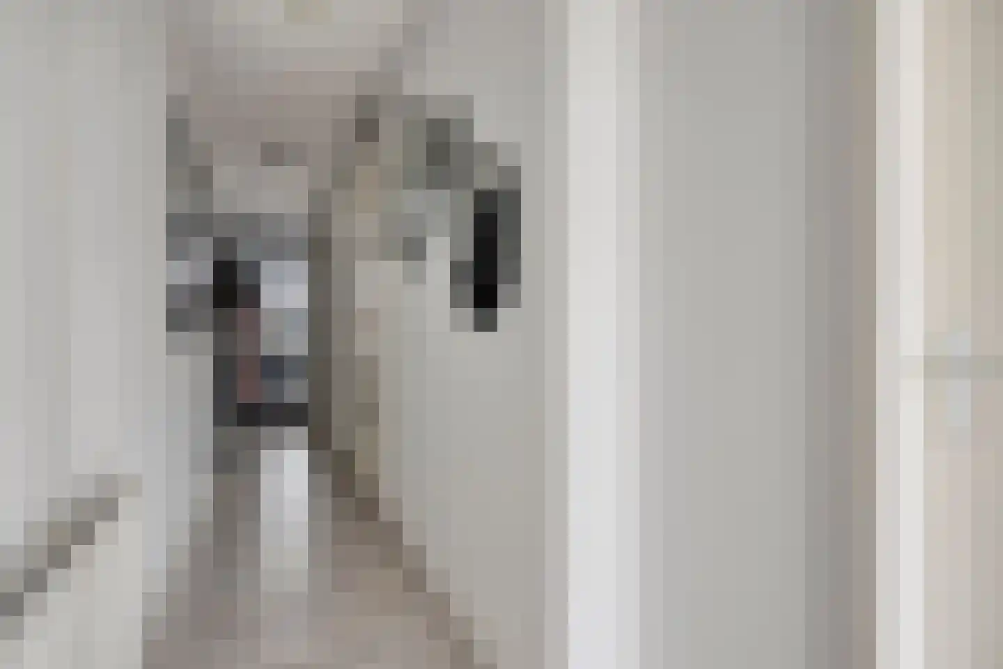 Vijfhagen 347 Breda thumbnail 17