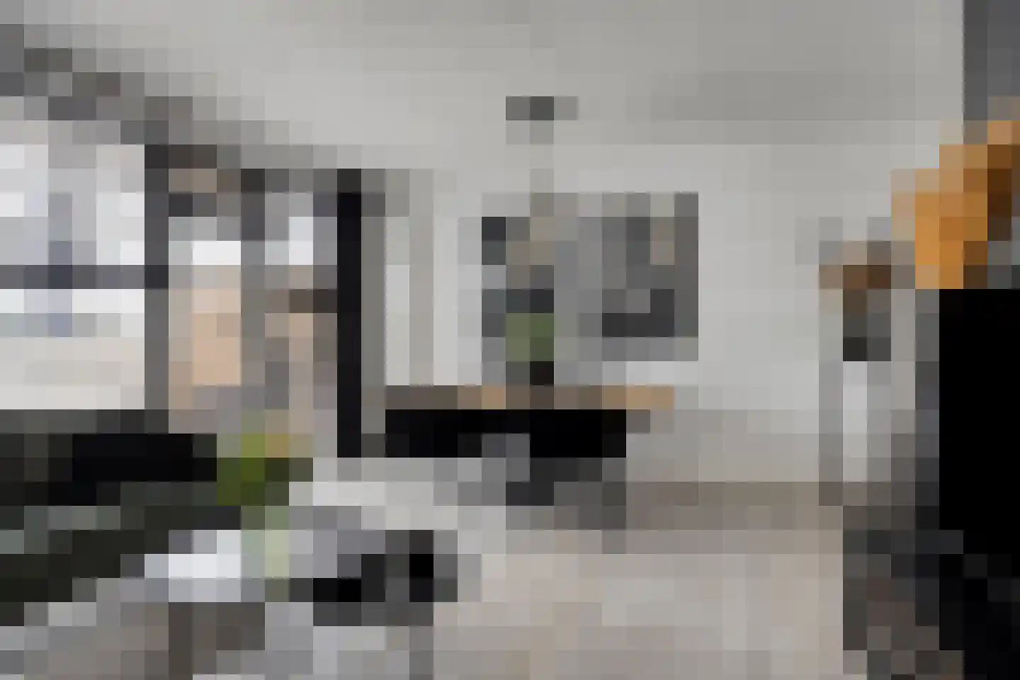 Vijfhagen 347 Breda thumbnail 20