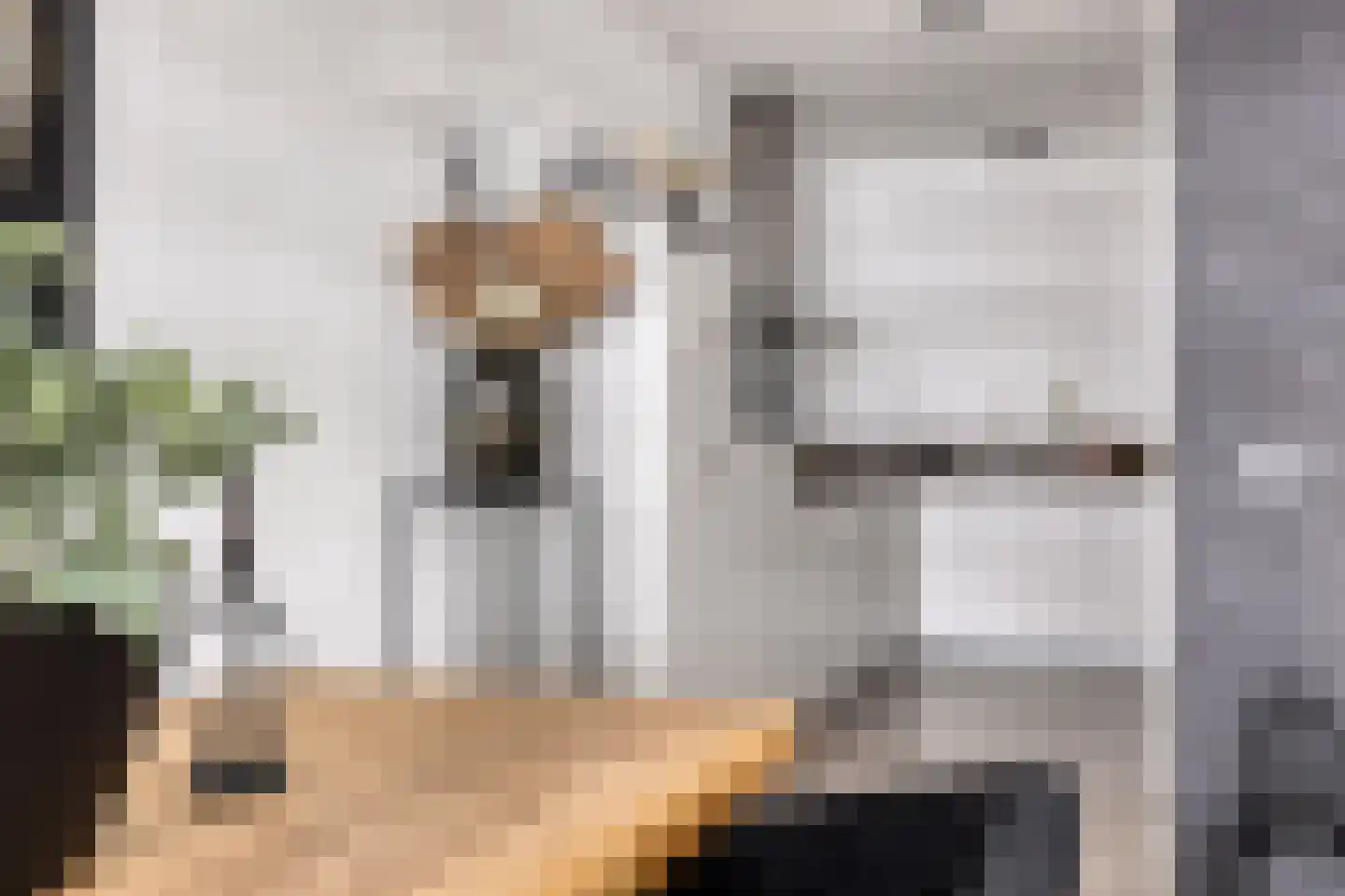 Vijfhagen 347 Breda thumbnail 21