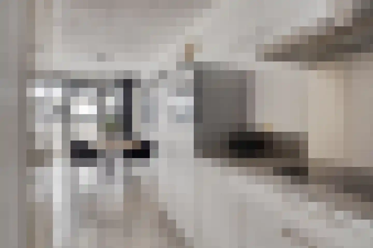 Vijfhagen 347 Breda thumbnail 23