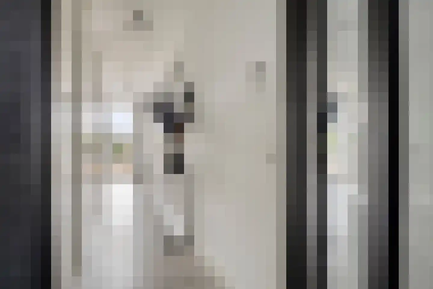 Vijfhagen 347 Breda thumbnail 24