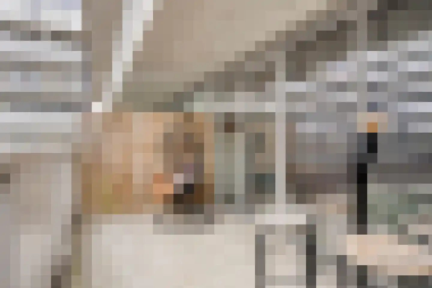 Vijfhagen 347 Breda thumbnail 32