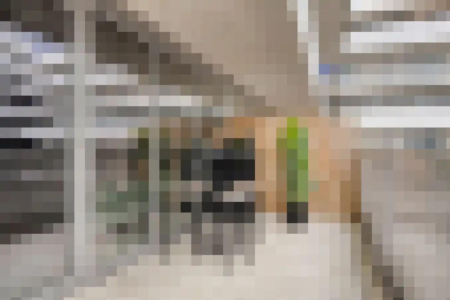 Vijfhagen 347 Breda thumbnail 5