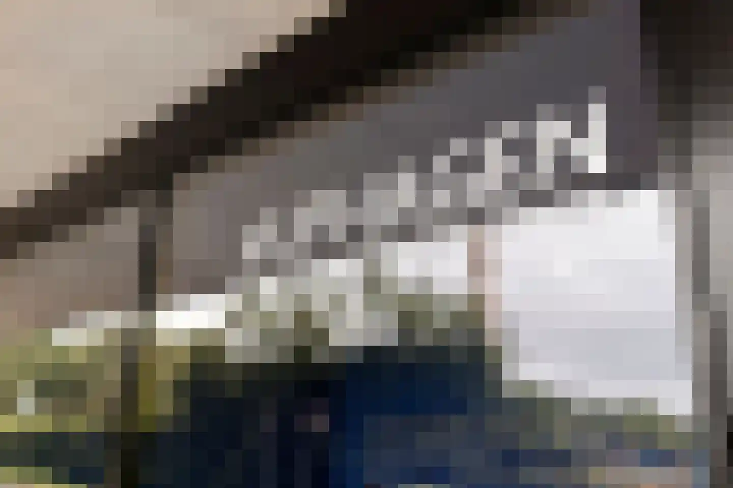 Vijfhagen 347 Breda thumbnail 9