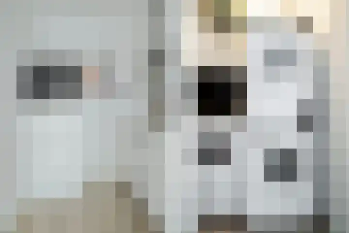 Vijfhagen 350 Breda thumbnail 11
