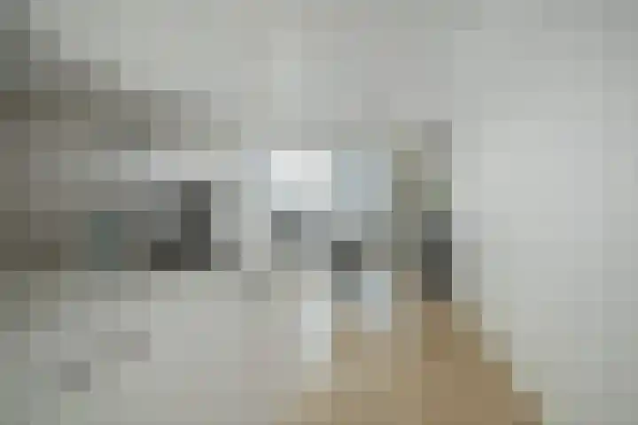 Vijfhagen 350 Breda thumbnail 12