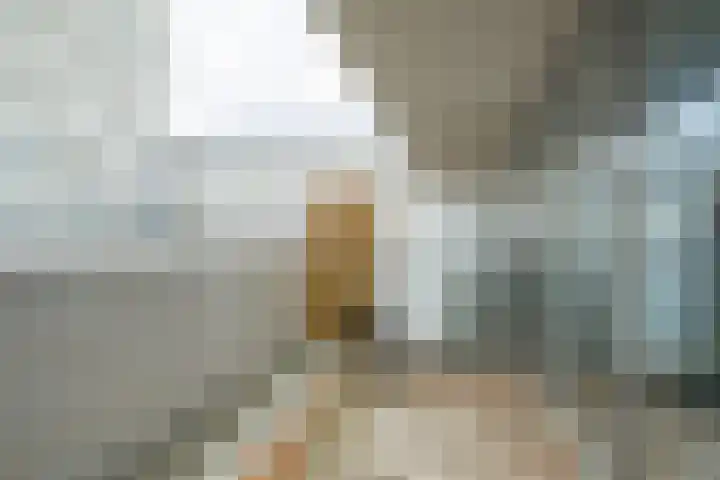 Vijfhagen 350 Breda thumbnail 14