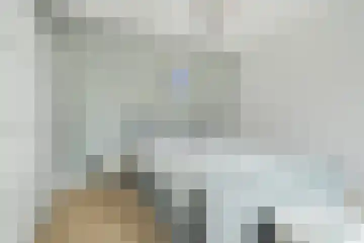 Vijfhagen 350 Breda thumbnail 15