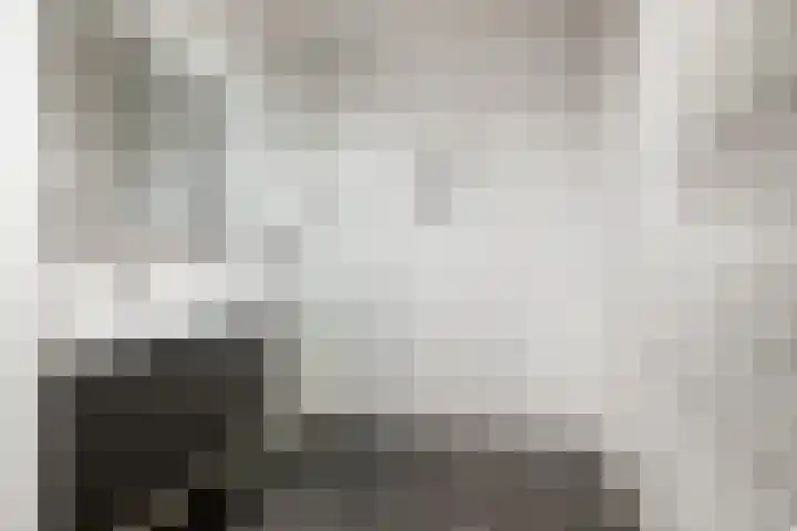 Vijfhagen 350 Breda thumbnail 19