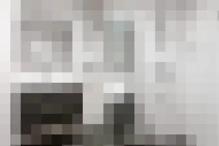 Vijfhagen 350 Breda thumbnail 20