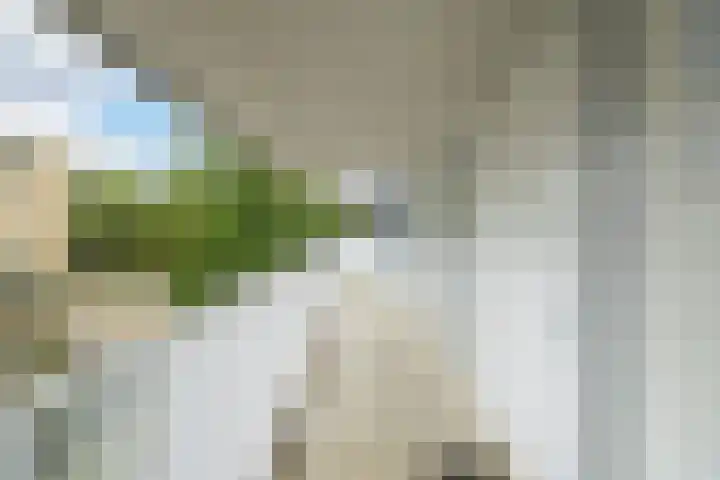 Vijfhagen 350 Breda thumbnail 25