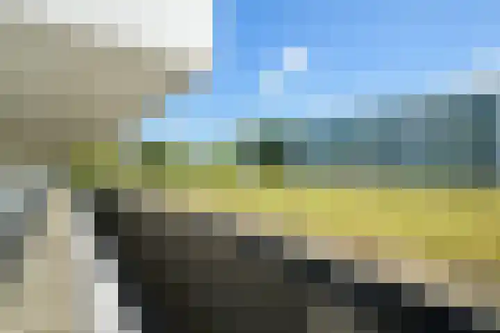 Vijfhagen 350 Breda thumbnail 26
