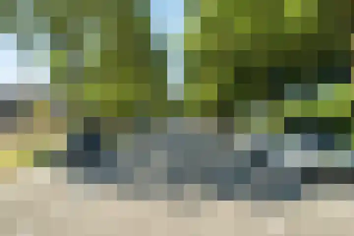 Vijfhagen 350 Breda thumbnail 28