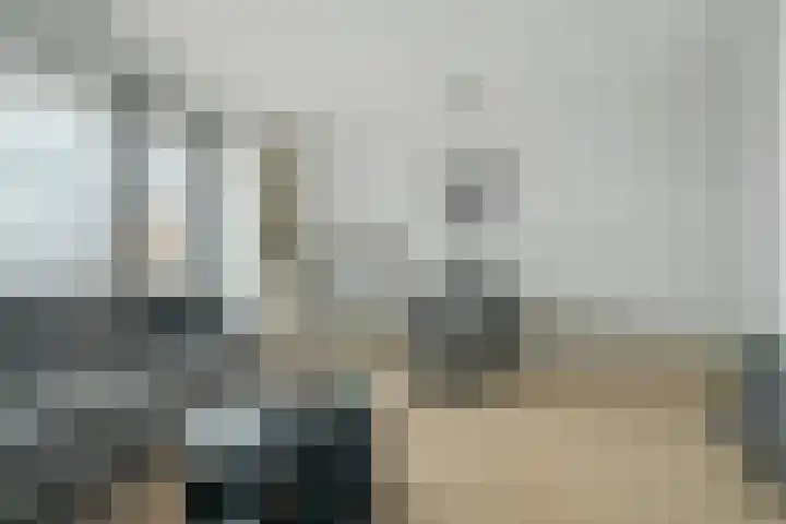 Vijfhagen 350 Breda thumbnail 6