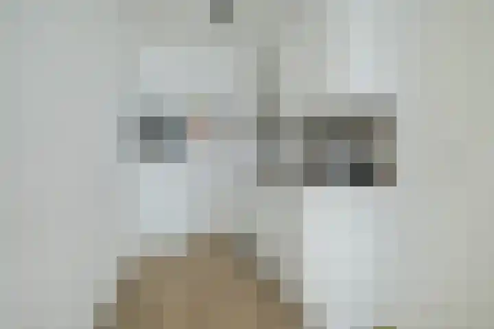 Vijfhagen 350 Breda thumbnail 9