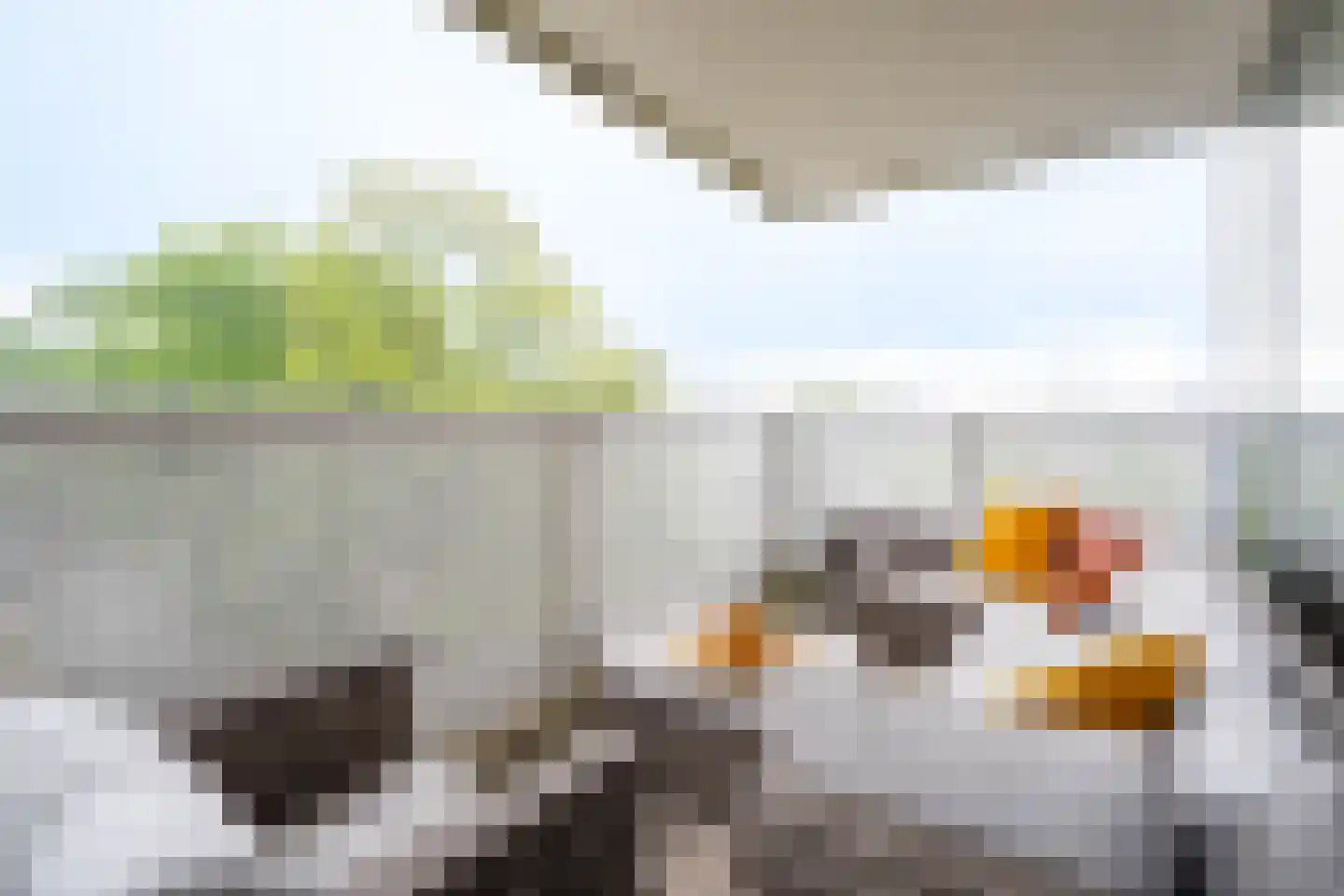 Vijfhagen 351 Breda thumbnail 15