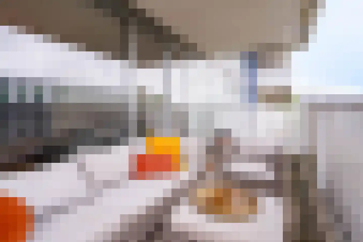 Vijfhagen 351 Breda thumbnail 16