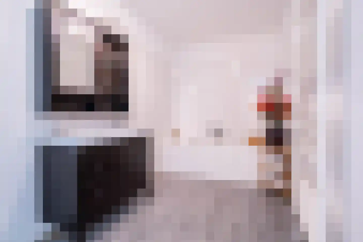 Vijfhagen 351 Breda thumbnail 22