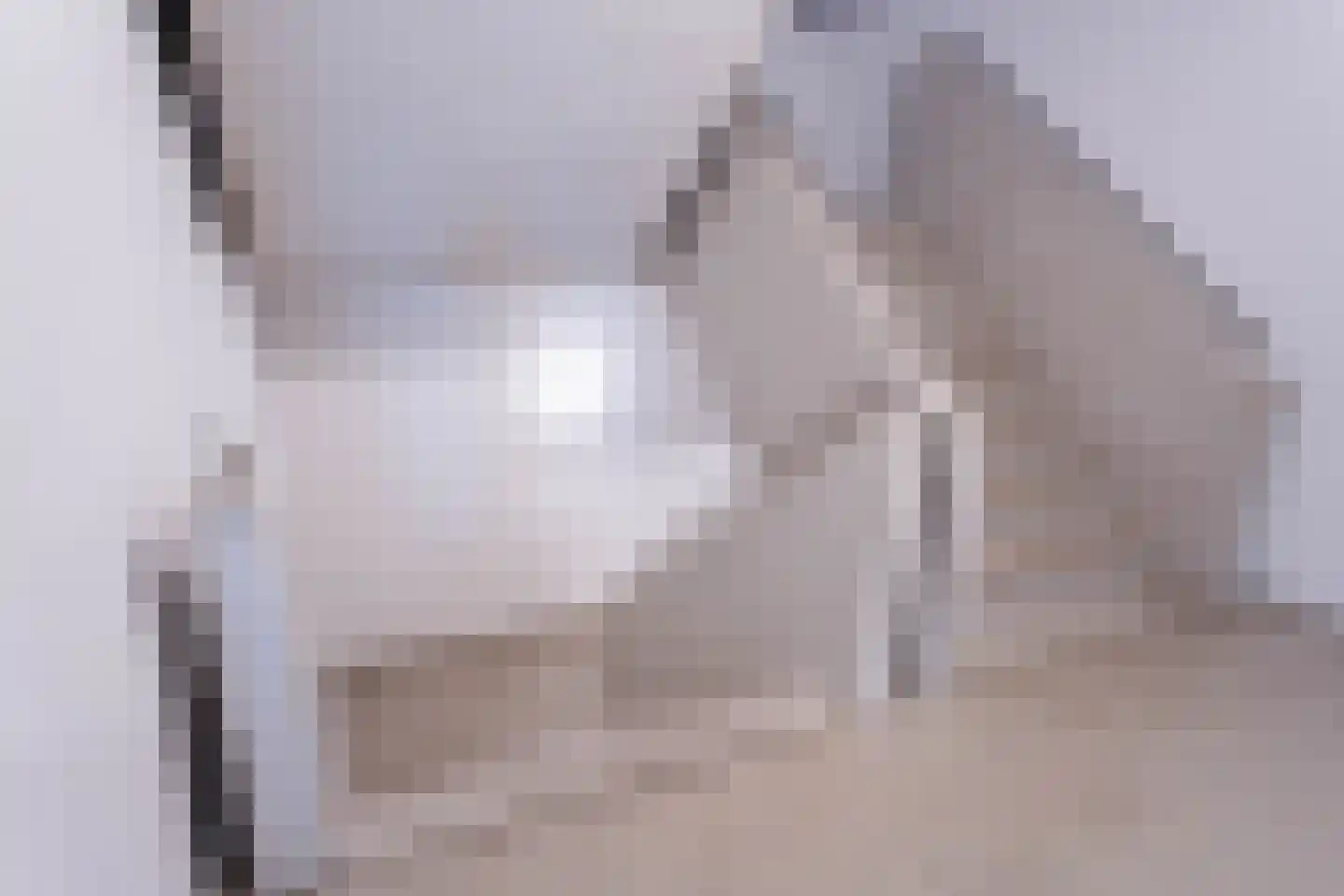 Vijfhagen 351 Breda thumbnail 26