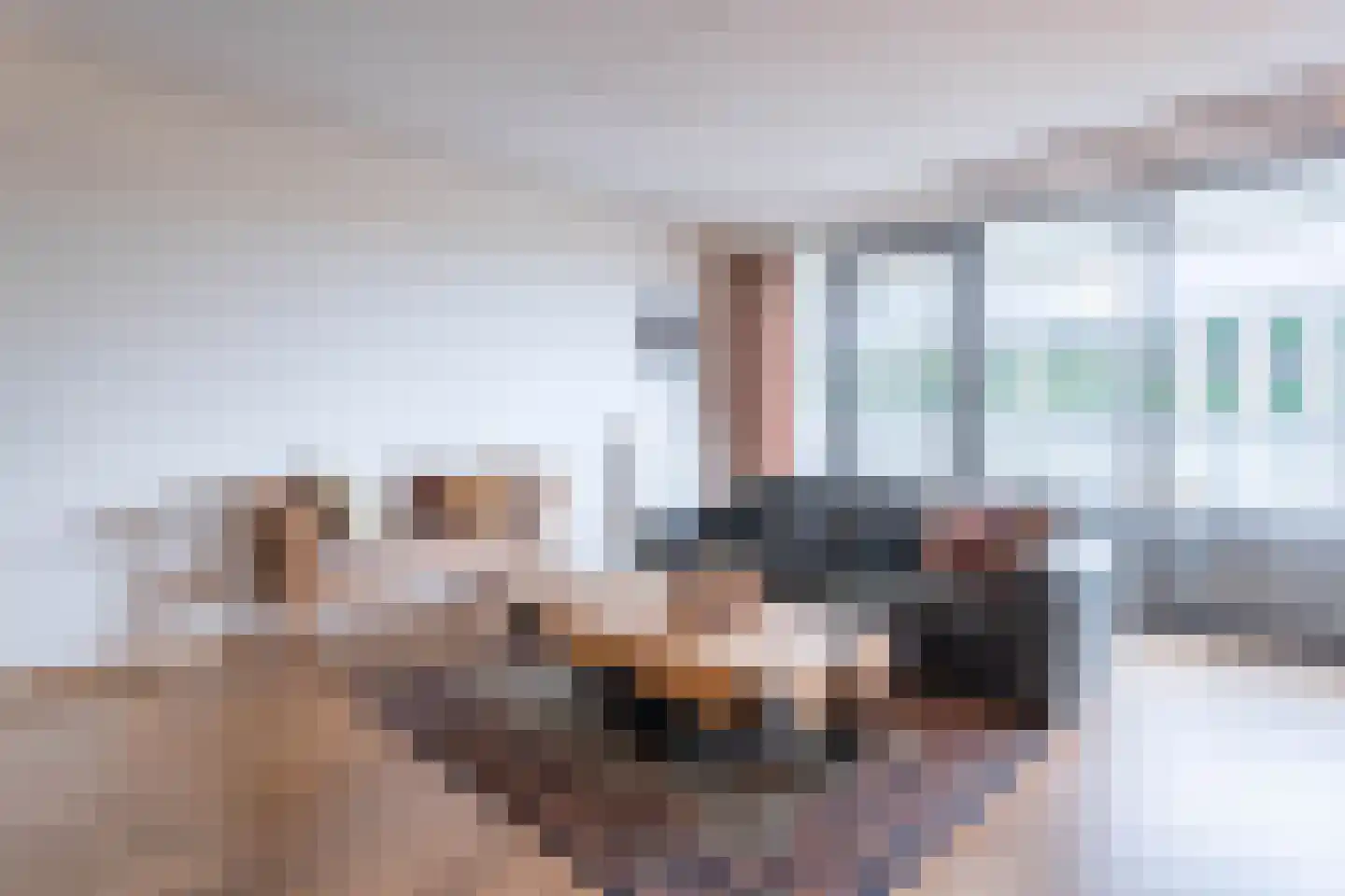 Vijfhagen 351 Breda thumbnail 7