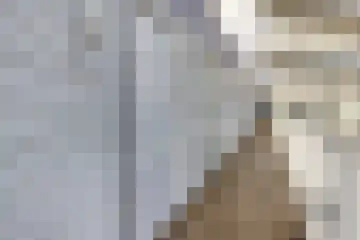 Vijfhagen 37 Breda thumbnail 12