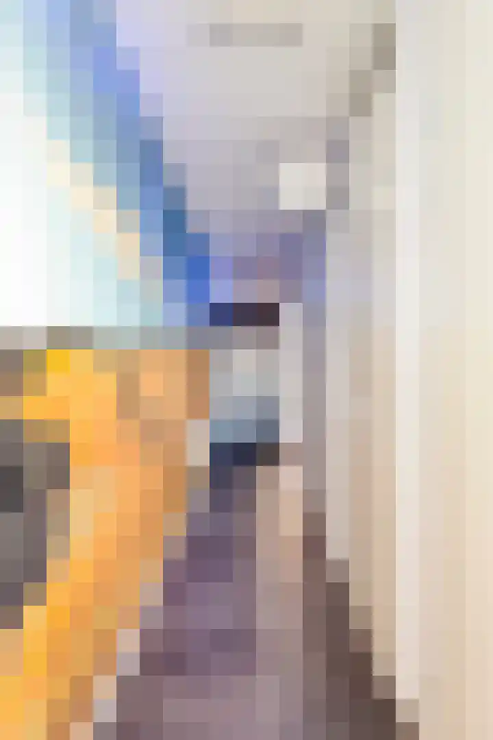Vijfhagen 37 Breda thumbnail 14
